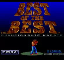 Image n° 4 - screenshots  : Best of the Best - Championship Karate